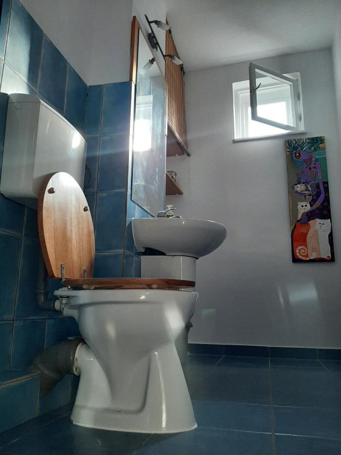 Hyggelig Appartement Oradea Buitenkant foto